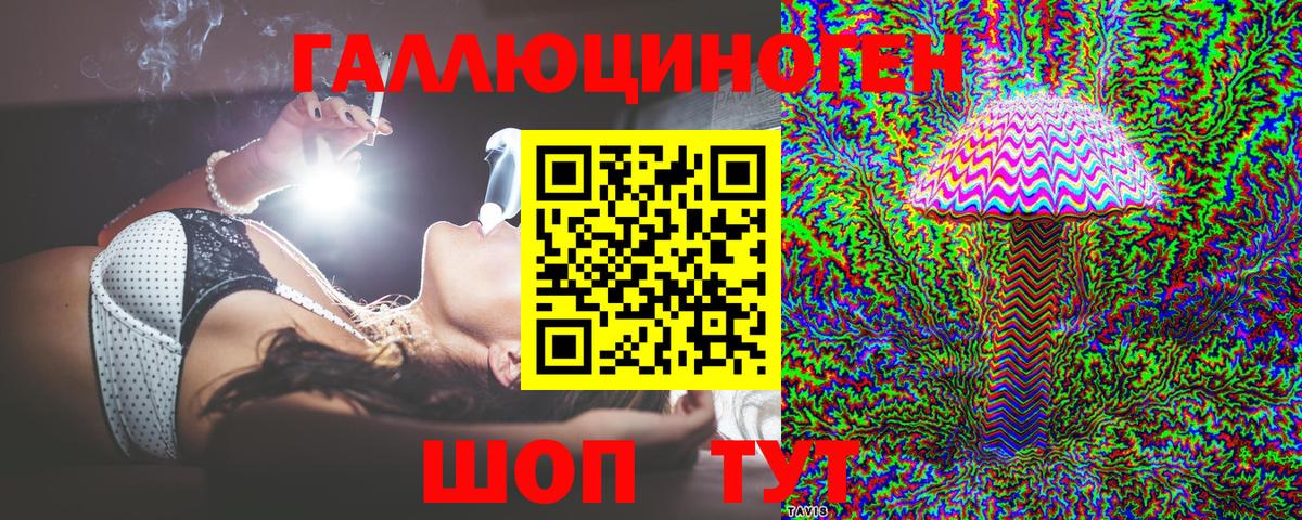 что такое наркотик  Вход с VPN  Энгельс  Галлюциногенные грибы Psilocybe  Псилоцибиновые грибы Psilocybe 